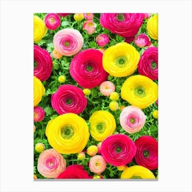 Ranunculus Repeat Retro Flower Canvas Print