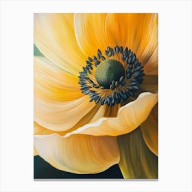 Anemone Flower 1 Canvas Print