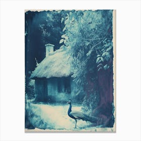 Vintage Blue Cyanotype Of A Peacock Outside A Cottage Canvas Print