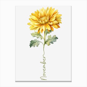 November Birth Flower Birth Month Botanical 1 Canvas Print