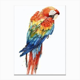 Macaw Pastel Watercolour 3 Stampe su tela