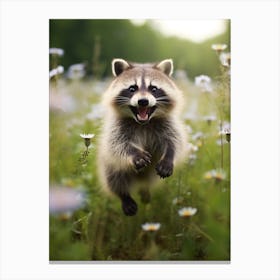 Cute Funny Honduran Raccoon Running On A Field Wild 1 Canvas Print