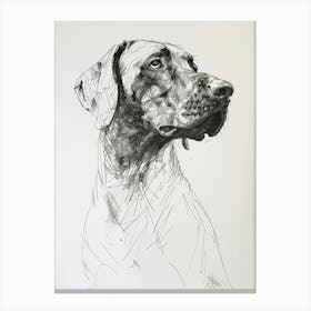 Pointer Dog Black & White Line Sketch 2 Canvas Print