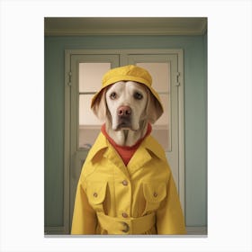 A Dog Labrador Retriever 8 Canvas Print