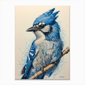 Blue Jay 4 Canvas Print