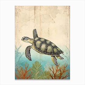 Beach House Sea Turtle  11 Canvas Print