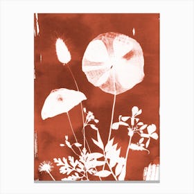 Terracotta Flower Fields Canvas Print