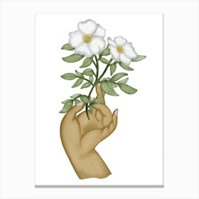 Elegant wild rose illustration Canvas Print