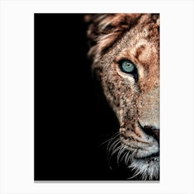 Lion With Blue Eyes Canvas Print