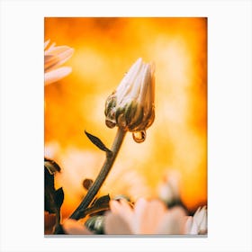 Poster Flower Art Print 24 Canvas Print