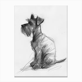 Minature Schnauzer Dog Charcoal Line 1 Canvas Print
