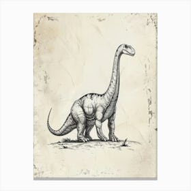 Camarasaurus Dinosaur Black Ink Illustration 1 Canvas Print