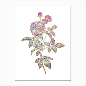 Stained Glass One Hundred Leaved Rose Mosaic Botanical Illustration on White n.0135 Canvas Print
