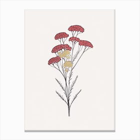 Yarrow Floral Minimal Line Drawing 1 Flower Canvas Print