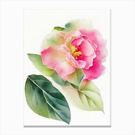 Camellia Wildflower Watercolour 2 Canvas Print