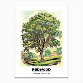Redwood Tree Storybook Illustration 1 Poster Canvas Print