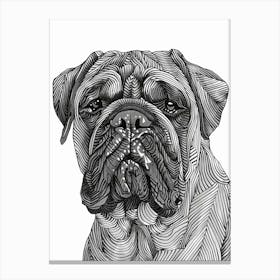 Dogue De Bordeaux Line Sketch 1 Canvas Print