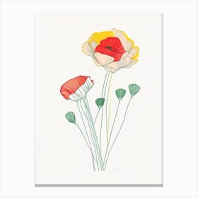 Ranunculus Floral Minimal Line Drawing 2 Flower Canvas Print