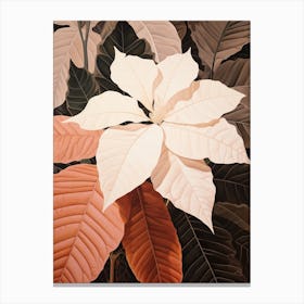 Flower Illustration Poinsettia Canvas Print