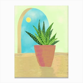 Potted Plant In The Sun Canvas Print
