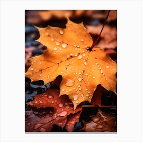 Autumn Leaves after Rain 3 Canvas Print