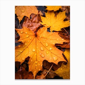 Autumn Leaves after Rain Canvas Print