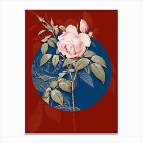 Vintage Botanical Fragrant Rosebush on Circle Blue on Red n.0200 Canvas Print