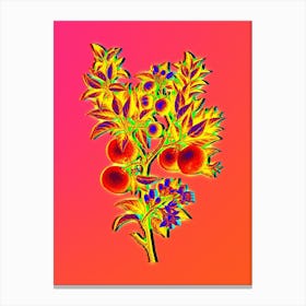 Neon Bitter Orange Botanical in Hot Pink and Electric Blue n.0559 Canvas Print