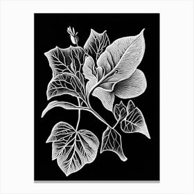 Quince Leaf Linocut 1 Canvas Print