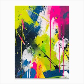 Abstract Painting 1022 Canvas Print