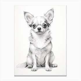 Chihuahua Dog, Line Drawing 4 Canvas Print
