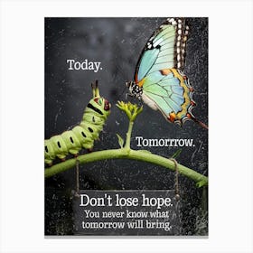 Today Tomorrow Don'T Lose Hope Canvas Print
