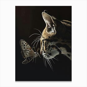 Lion And Butterfly Canvas Print