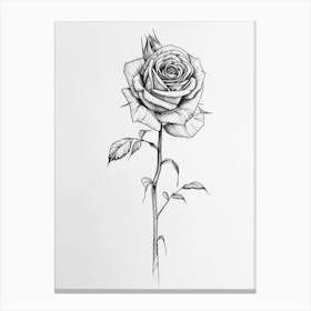 English Rose Black And White Line Drawing 16 Canvas Print