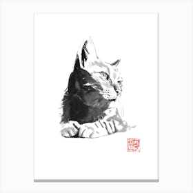 Cute cat Canvas Print