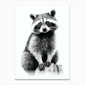 Raccoon Black And White Illustration 3 Canvas Print