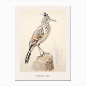 Vintage Bird Drawing Roadrunner 2 Poster Canvas Print