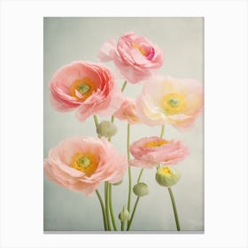 Ranunculus Flowers Acrylic Painting In Pastel Colours 3 Canvas Print