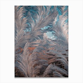 Frosty Window Canvas Print