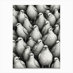 Flock Of Birds 1 Canvas Print