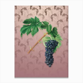 Vintage Black Aleatico Grape Botanical on Dusty Pink Pattern n.0194 Canvas Print