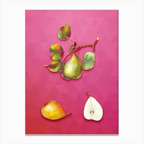 Vintage Pear Botanical Art on Beetroot Purple n.0830 Canvas Print