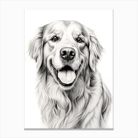 Golden Retriever Dog, Line Drawing 3 Canvas Print