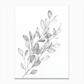 Leaves In Black And White 1 Canvas Print