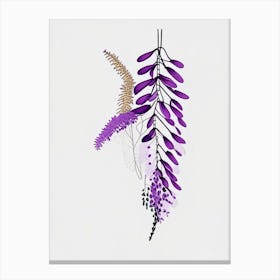 Wisteria Floral Minimal Line Drawing 1 Flower Canvas Print