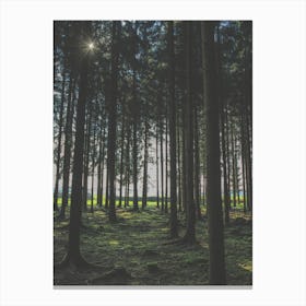 In The Forest Canvas Print