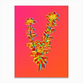 Neon Daphne Sericea Flowers Botanical in Hot Pink and Electric Blue n.0299 Canvas Print