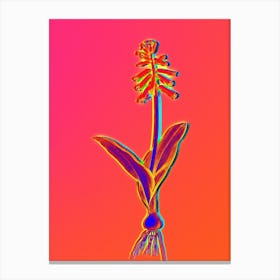 Neon Lachenalia Pendula Botanical in Hot Pink and Electric Blue n.0497 Canvas Print