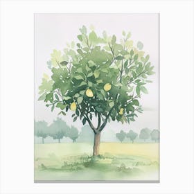 Lemon Tree Atmospheric Watercolour Painting 4 Canvas Print
