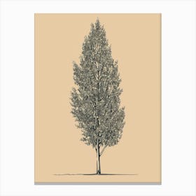 Poplar Tree Minimalistic Drawing 4 Canvas Print